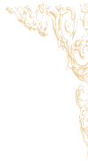 Decorative bottomleft